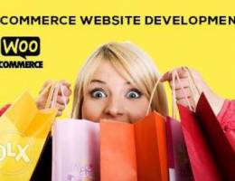 I will design ecommerce website online sto...