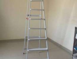 ladder