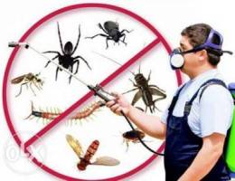 Cleaning & pest control services