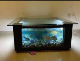 fish tank for selling