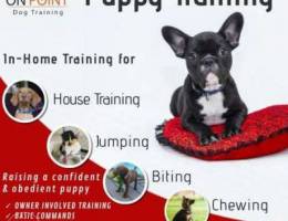 Puppy Training