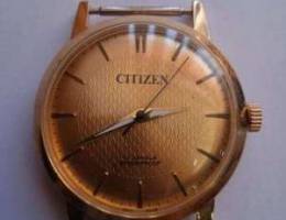 Citizen