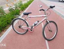 Philip bike for sale