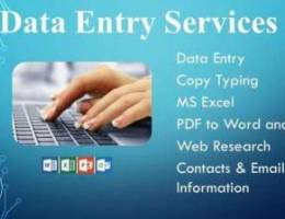 data entry, copy typing, free lancer (ms o...