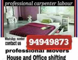 professional packar and movers