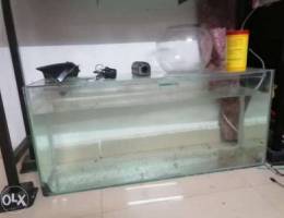 A big fish tank for sale