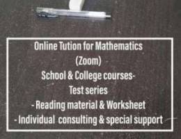 Mathematics tuition in zoom