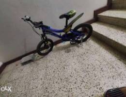 Skid fusion kids bike