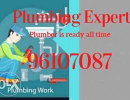 Professional plumbing services always open...