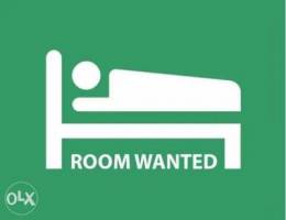 Room wanted