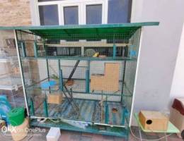 3 portion big cage