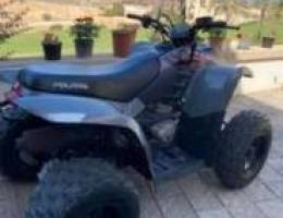 Polaris Phoenix 200