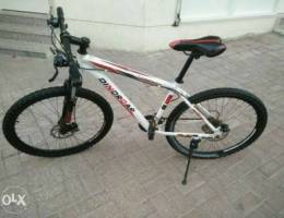 dinoroar bike