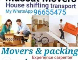 Experience carpenter movers service hc