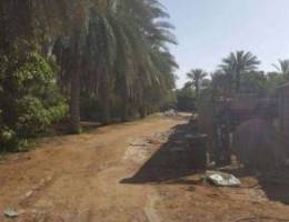 Farm for sale, sohar falaj al qabail