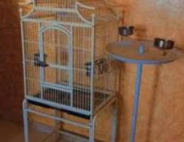 birds cage + stand for sale قفص و ستاند لل...