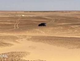 فرصه للمستثمرين للعرب في مصر ، الاعلان مهم...