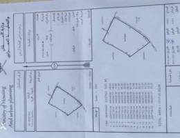 أرض زراعيه بولاية الرستاق فلج الشراه