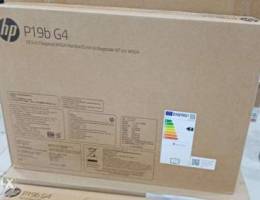 HP P19b G4 monitor.