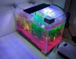 sale of fish , aquarium, food, net , filte...