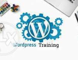Php, wordpress web development Creative, S...