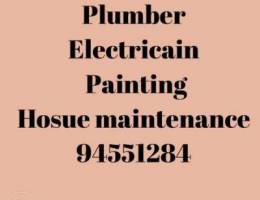 plumber handyman car available fast servic...