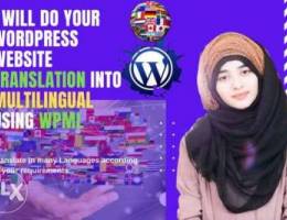 I will do your wordpress website translati...