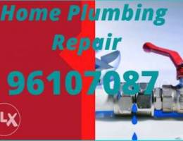 Best plumber for home plumbing minuteness ...