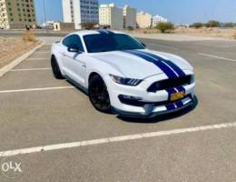 Mustang Shelby GT350 2016