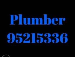 hosue professional plumber handyman bxnxnc...