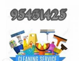 +( house cleaning Villa cleaning up the)+