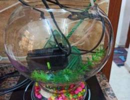 Fish bowl with full set of accesories