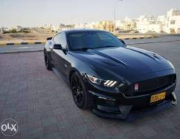 موستانج ٢٠١٥ GT. 5.0