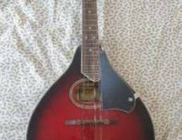 PURE GEWA Tenson F505400 Folk Mandolin - B...