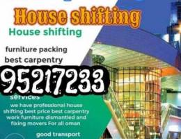 House shifting and painting