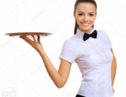 Required experienced waitress