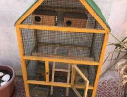 Birds Cage