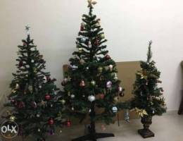 Christmas Trees in Different sizes and a W...