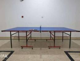 Table Tennis Table (Caxton)