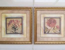 Homecentre FRAMES (Good Condition)