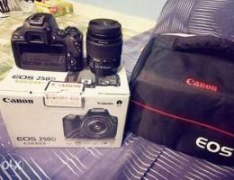 Canon 250D