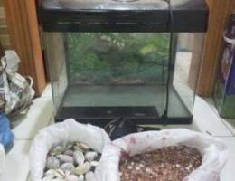 Fish tank with pebbles & motor