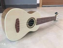 Plastic Ukulele