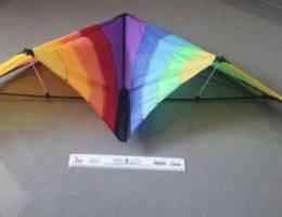 Colorful Kite