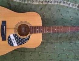 Acoustic Guitar (Takamine Jasmine)