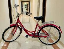 Girls Bicycle For Sale