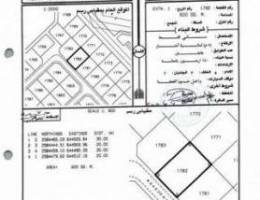 ارضين شبك العامرات الامتداد الاول