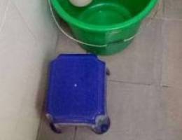 1 Plastic bucket, 1 Mug, 1 bath stool, 1 d...