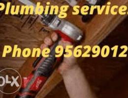 Extremely master handyman is accessible fo...