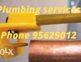 Free home conveyance about plumbing issues...